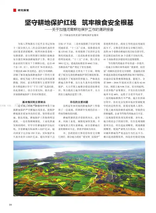 坚守耕地保护红线 筑牢粮食安全根基——关于加强河南耕地保护工作的调研报告
