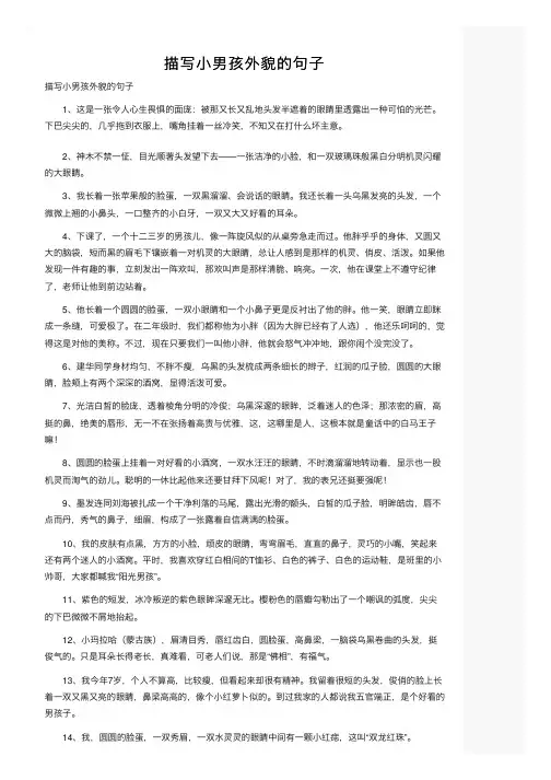 描写小男孩外貌的句子