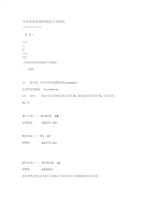 硝化与反硝化