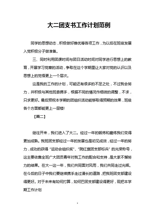 大二团支书工作计划范例