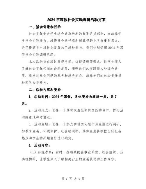 2024年寒假社会实践调研活动方案