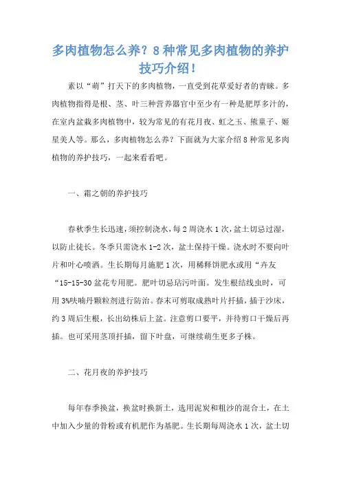 多肉植物怎么养？8种常见多肉植物的养护技巧介绍!
