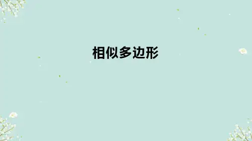 4.6_相似多边形 课件-浙教版数学九年级上册