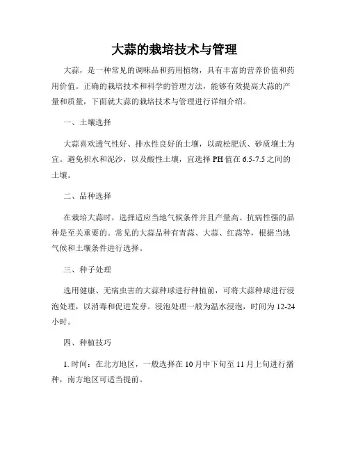 大蒜的栽培技术与管理