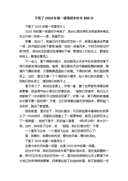 下雪了2020年第一场雪初中作文600字