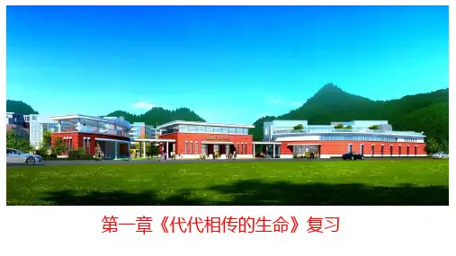 第一章《代代相传的生命》复习课件-【上好课】2021-2022学年七年级科学下册(浙教版) (1)