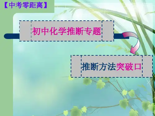 初中化学推断题专题 PPT课件 图文