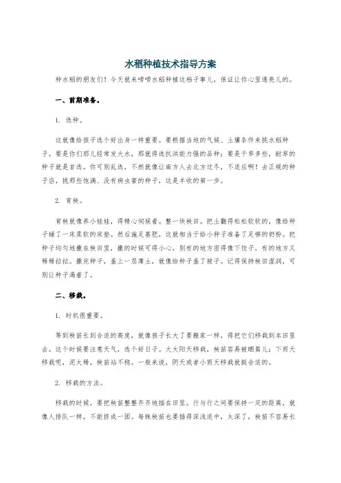 水稻种植技术指导方案