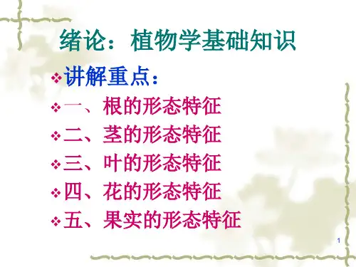 植物学基础知识ppt课件