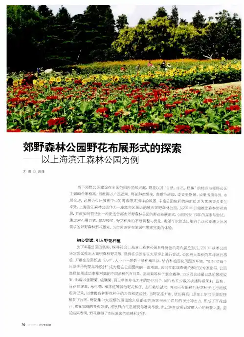 郊野森林公园野花布展形式的探索-以上海滨江森林公园为例