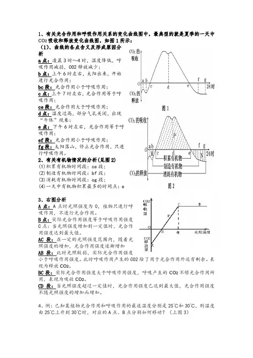光合作用呼吸作用图解
