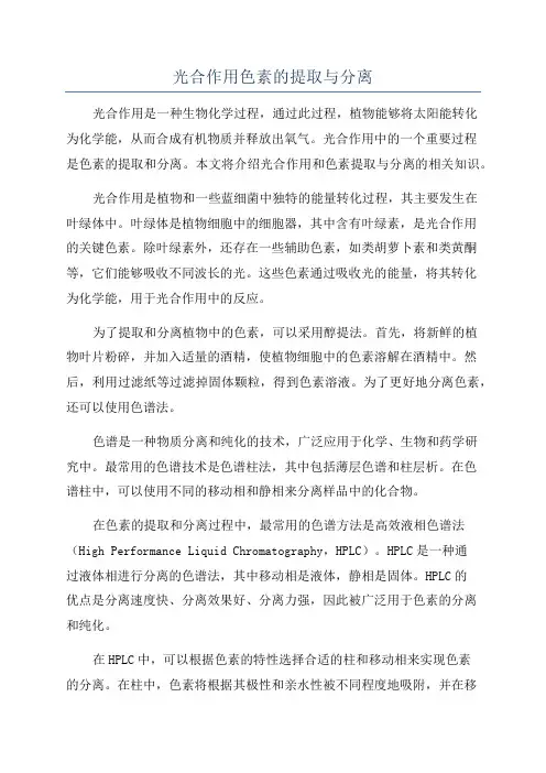光合作用色素的提取与分离