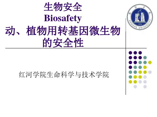 转基因动物用微生物安全性评价