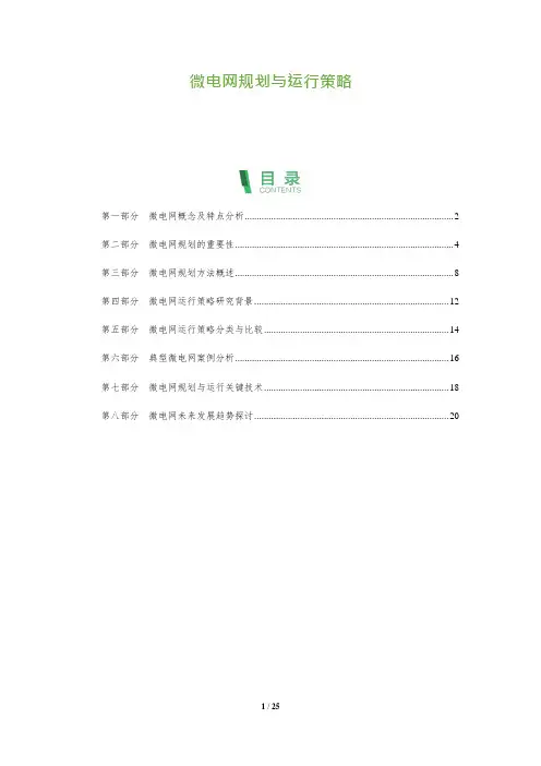 25_微电网规划与运行策略