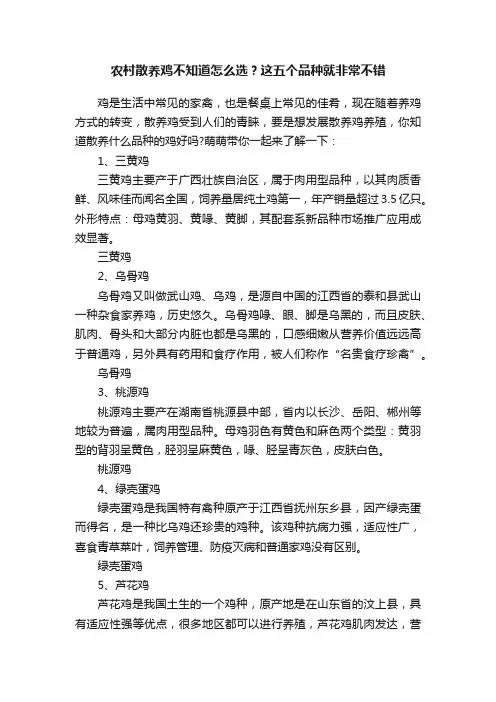 农村散养鸡不知道怎么选？这五个品种就非常不错
