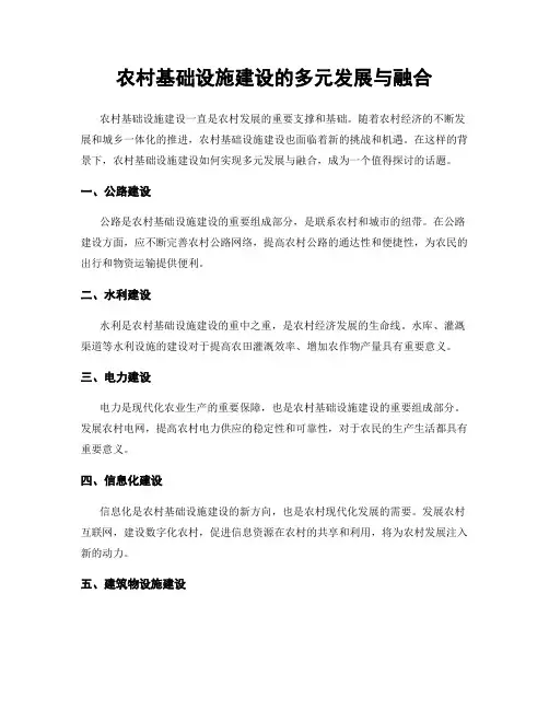 农村基础设施建设的多元发展与融合