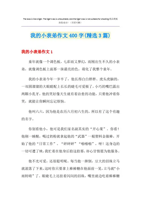 我的小表弟作文400字(精选3篇)