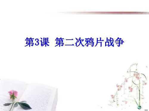 《第二次鸦片战争》列强的侵略与中国人民的抗争3PPT课件  图文