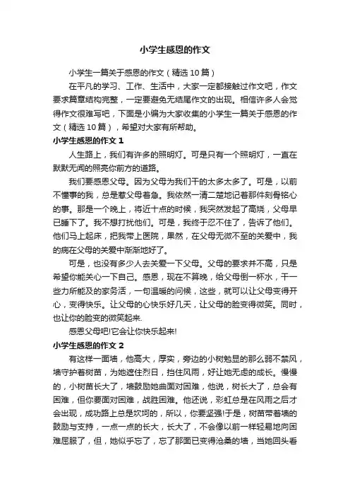 小学生一篇关于感恩的作文（精选10篇）