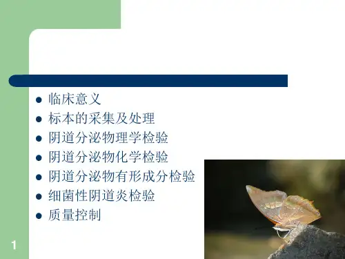白带常规PPT课件