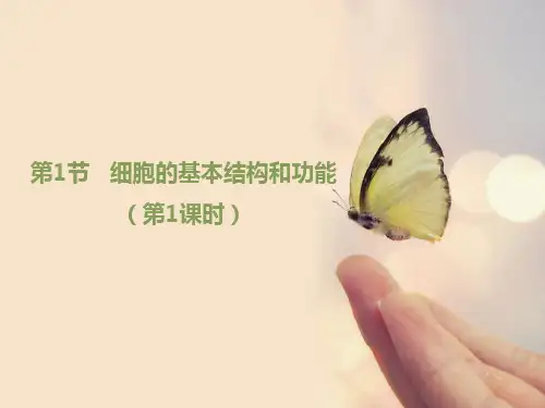 细胞的基本结构和功能第1课时优秀ppt课件