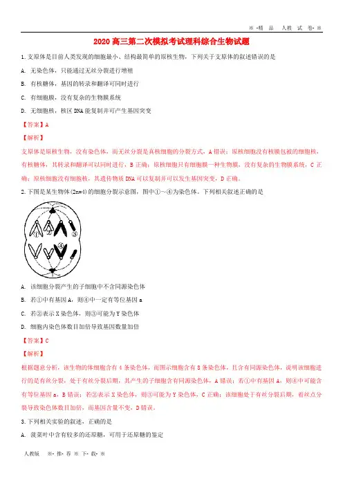 【人教版】2020高三生物第二次模拟考试试题(含解析)