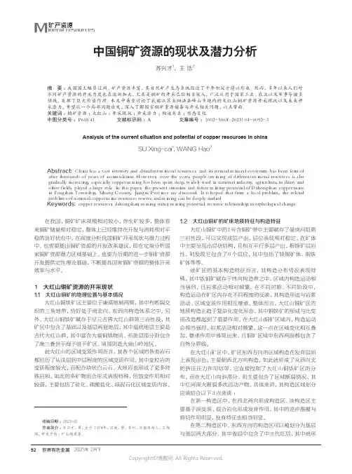 211274169_中国铜矿资源的现状及潜力分析