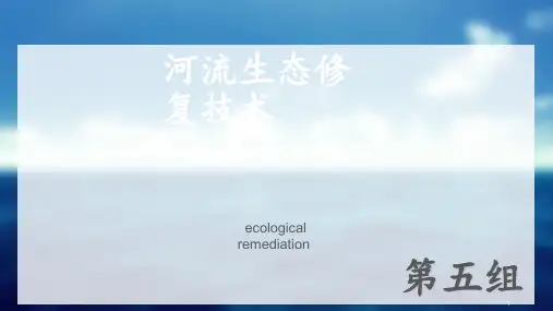 河流生态修复技术 ppt课件