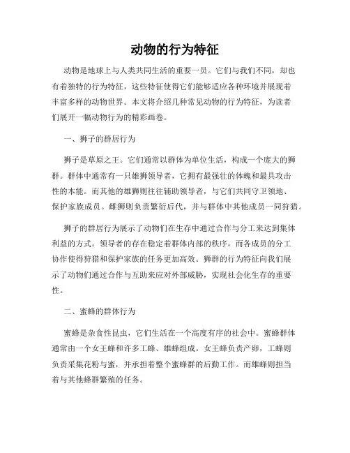 动物的行为特征