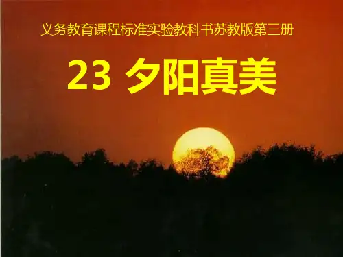 苏教版二年级上册语文《夕阳真美》优课件PPT