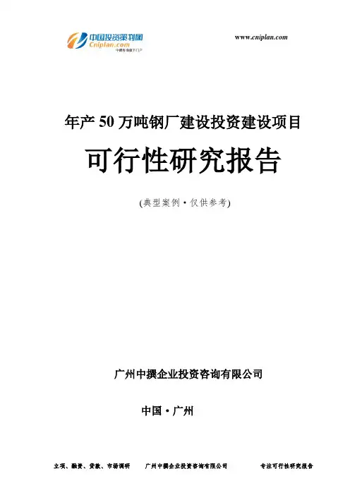 年产50万吨钢厂建设投资建设项目可行性研究报告-广州中撰咨询