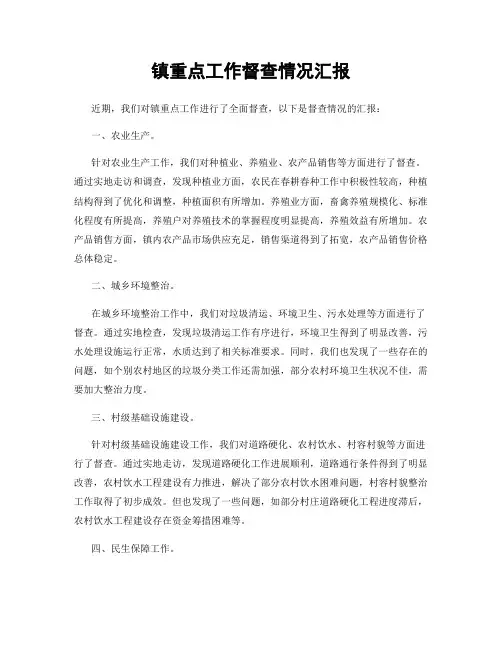 镇重点工作督查情况汇报