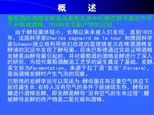 第四章葡萄酒酵母和发酵原理_ma