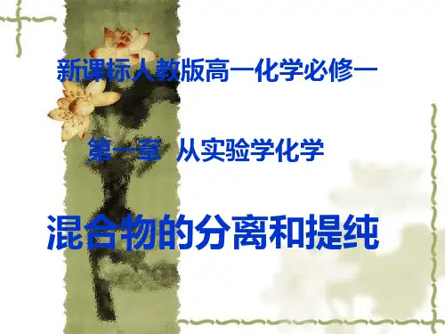 人教版必修一1-1-2混合物的分离和提纯-过滤和蒸发解读