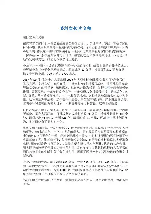 某村宣传片文稿