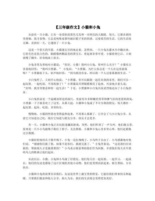 【三年级作文】小猫和小兔