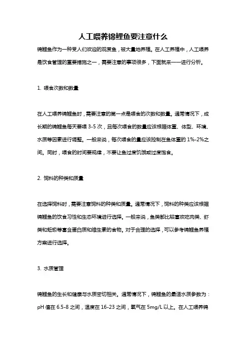 人工喂养锦鲤鱼要注意什么