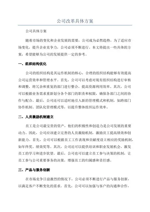 公司改革具体方案