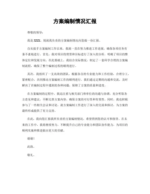 方案编制情况汇报