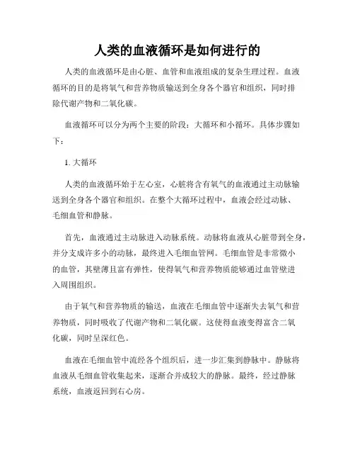 人类的血液循环是如何进行的