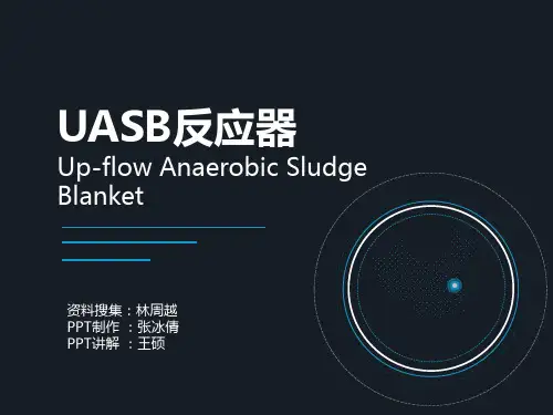 UASB反应器