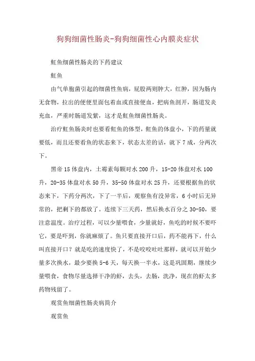 狗狗细菌性肠炎-狗狗细菌性心内膜炎症状