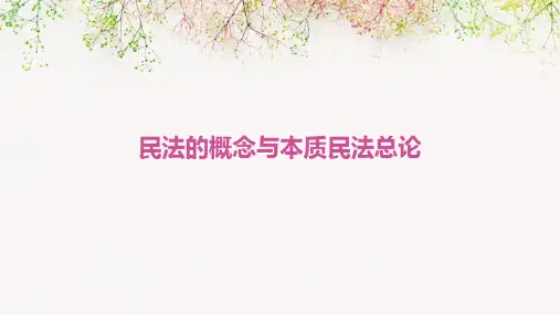 民法的概念与本质民法总论
