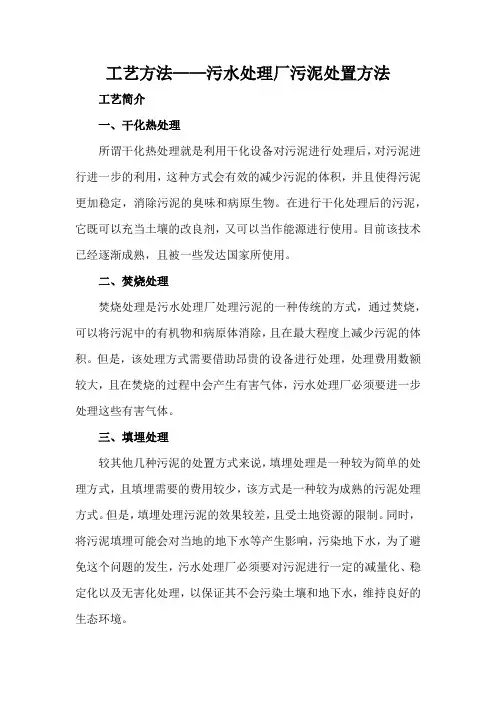 工艺方法——污水处理厂污泥处置方法