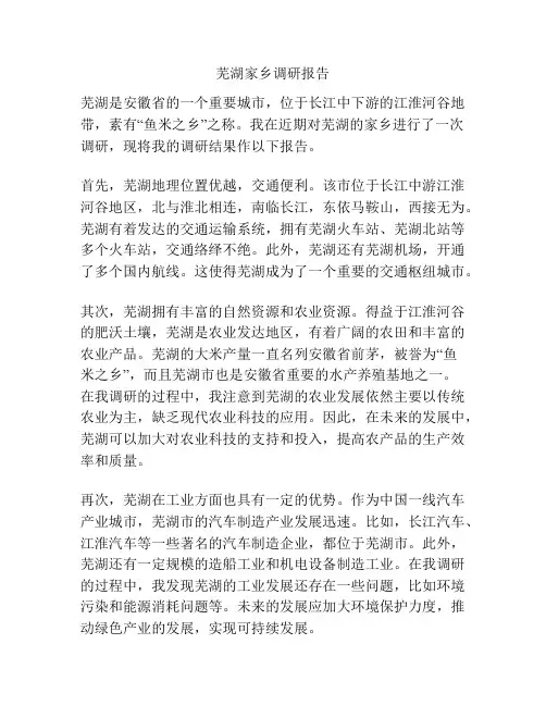 芜湖家乡调研报告
