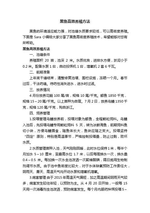 黑鱼高效养殖方法
