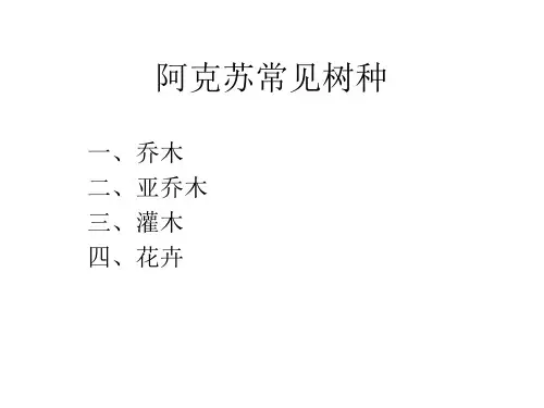 常见绿化树种几习性