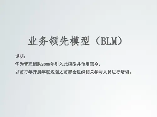 华为管理团队业务领先模型(BLM模型)