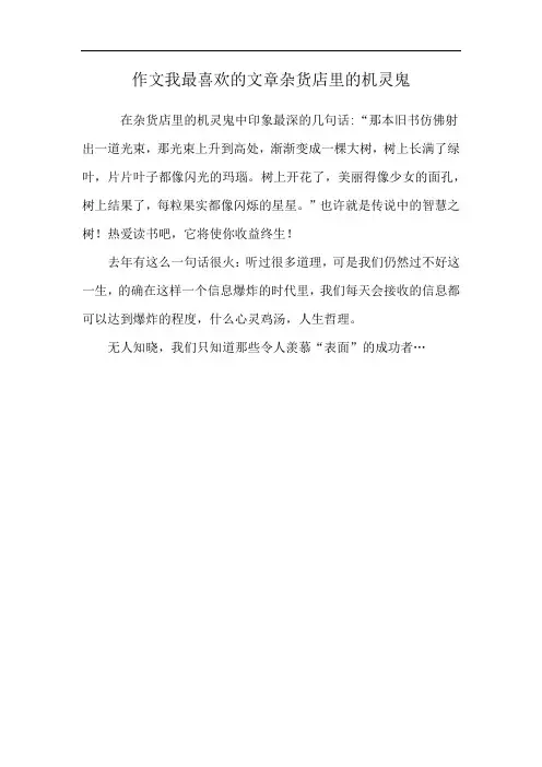 作文我最喜欢的文章杂货店里的机灵鬼