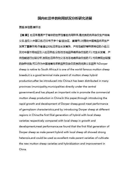 国内杜泊羊的利用状况分析研究进展